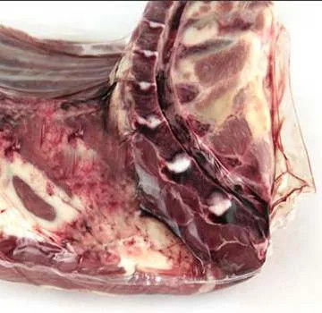 Cold Fresh Meat Packaging Bags PA/PE Shrink Film PVDC Shrink Film And Bags