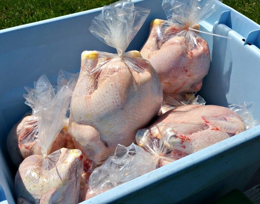 Cold Fresh Meat Packaging Bags PA/PE Shrink Film PVDC Shrink Film And Bags